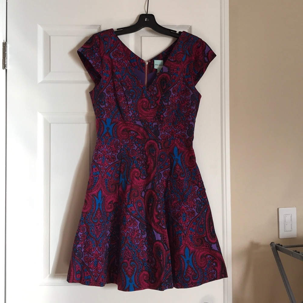 Gorgeous paisley “Plenty Dresses” by Tracey Reese